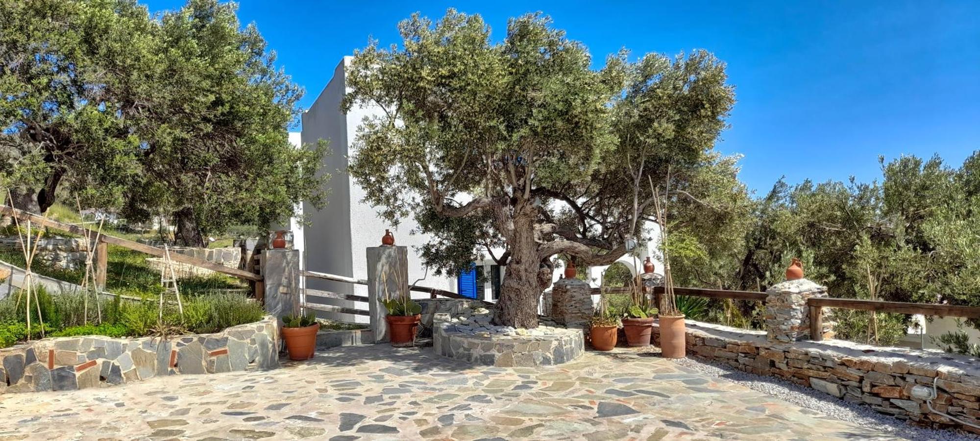 Aspra Chomata Villas Karystos  Exterior photo